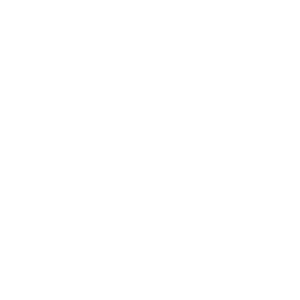 Icon : Chart going up