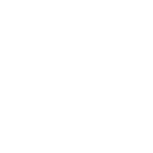 Icon : Shield with check