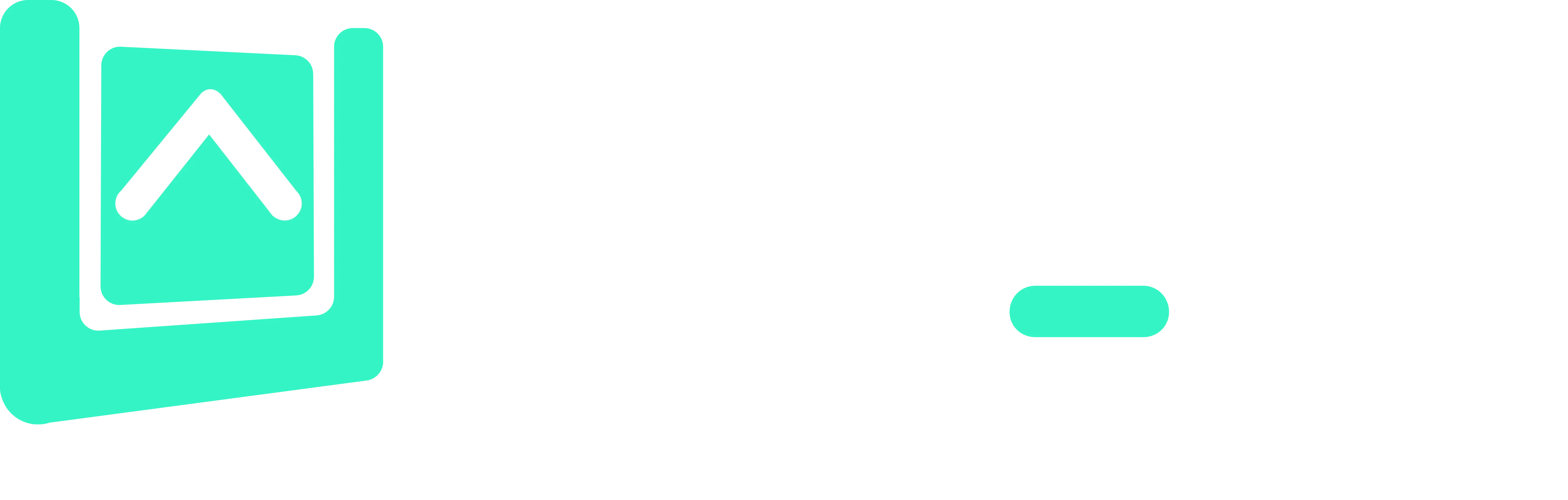 AF-IT Partner Logo