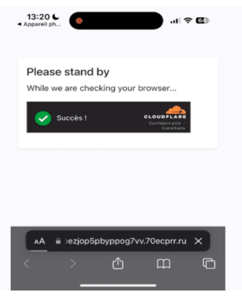 Fake security check webpage
