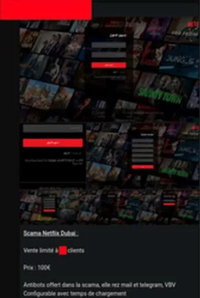 Netflix Dubai Scama