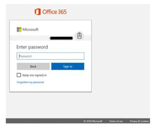 office 365