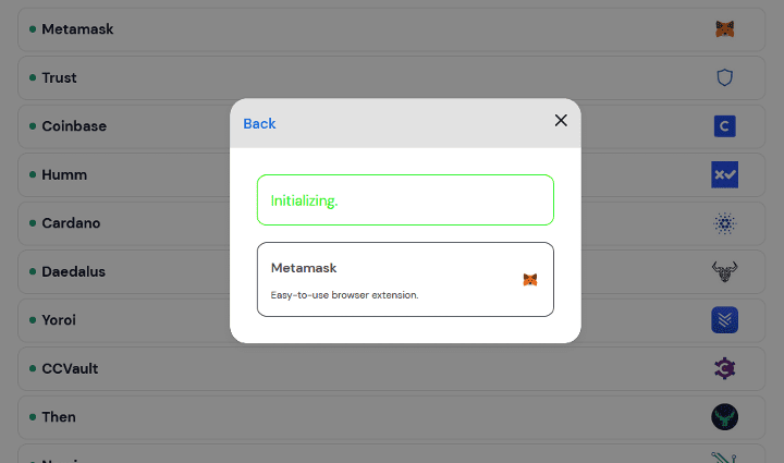 Fake window simulating a connection with a crypto wallet