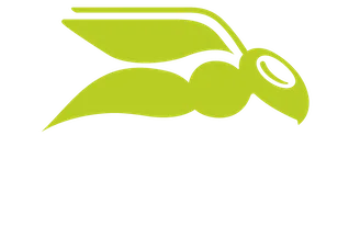 Hornetsecurity by Proofpoint
