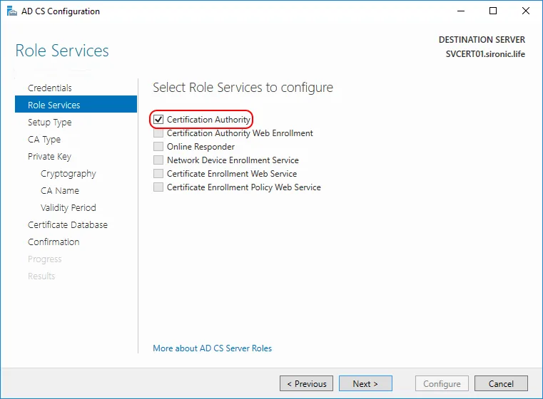 Perform Initial CA Configuration