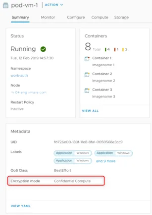 Confidential vSphere Pods