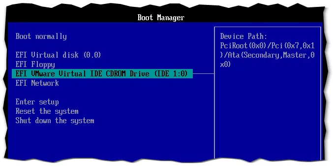Accessing the VM’s EFI boot manager options