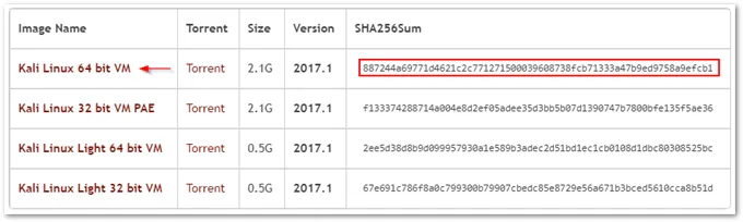 Kali images distributed as virtual machines