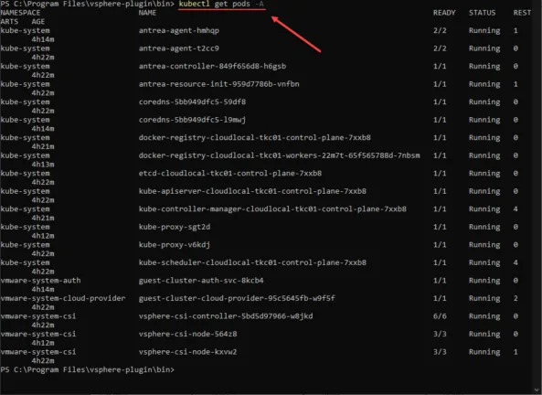  Logging into the vSphere with Tanzu Guest Cluster and viewing pods