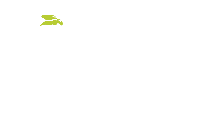 Security Awareness Service – Produktvorstellung