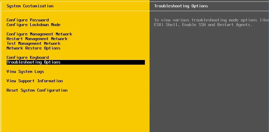 How to Open a Console Session On ESXi