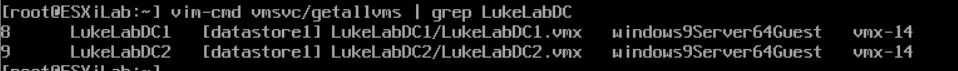 How to Power On Virtual Machines From The ESXi Console