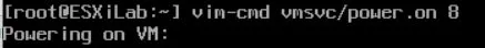 How to Power On Virtual Machines Using the ESXi Console