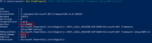 Display the .Net registry key in PowerShell