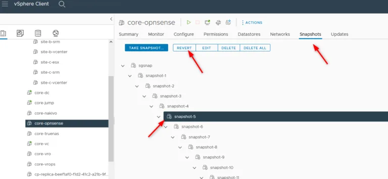 Figure 6 – Selecting the snapshot to revert to in Snapshot Manager for a VMware revert to snapshot
