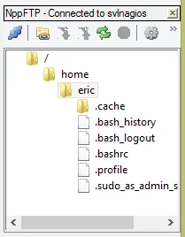 NppFTP file browser displaying the remote Linux home directory after a successful SFTP connection.