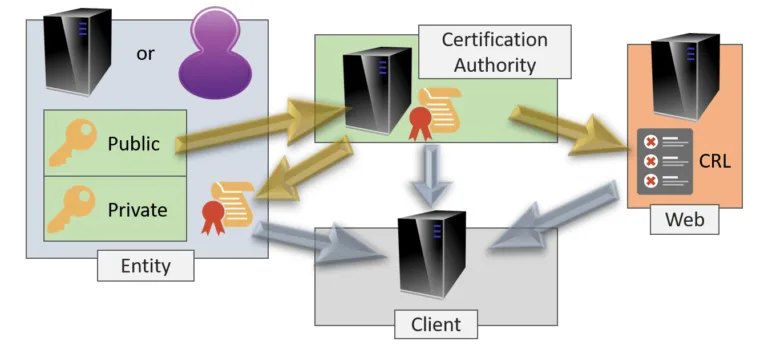 PKI Identity Verification
