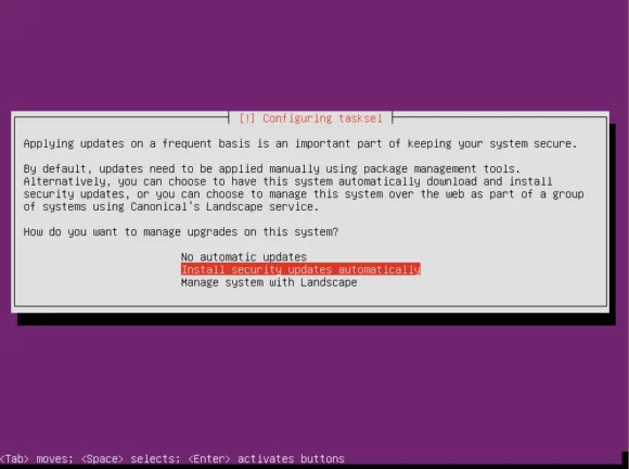 Ubuntu Server installer tasksel configuration screen with automatic security updates selected.