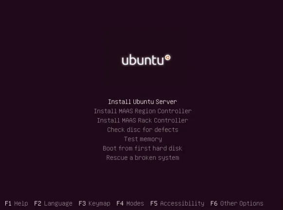 Ubuntu Server boot menu with the Install Ubuntu Server option selected.