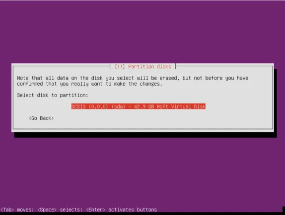 Ubuntu Server installer screen prompting for the disk to partition and install the operating system.