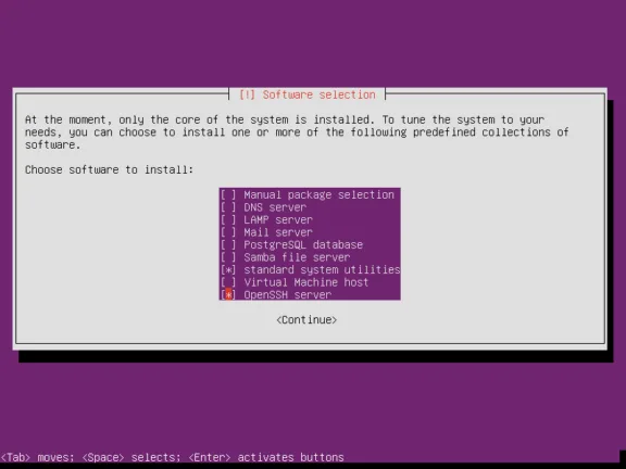 Ubuntu Server software selection screen showing OpenSSH Server and standard system utilities selected.