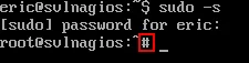 Ubuntu Server terminal using sudo to switch from a standard user account to the root account.