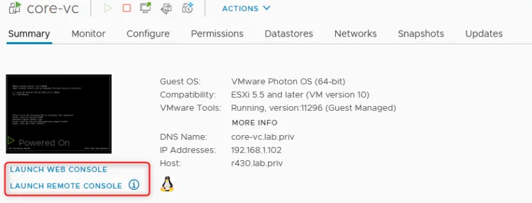 Choose between the web console and VMRC.