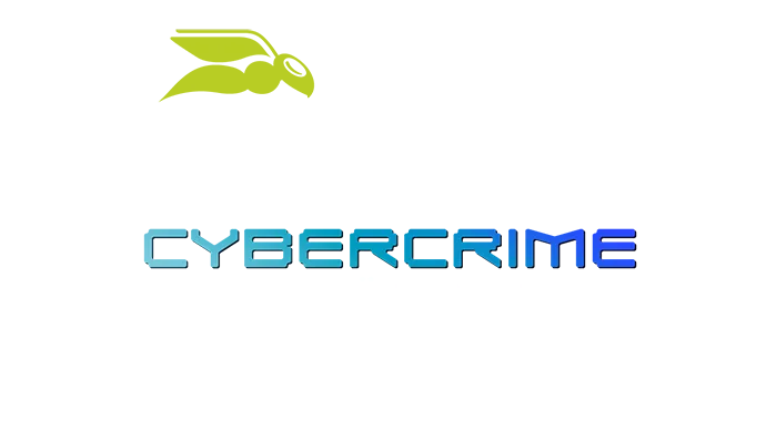 Cybercrime als Geschäftsmodell