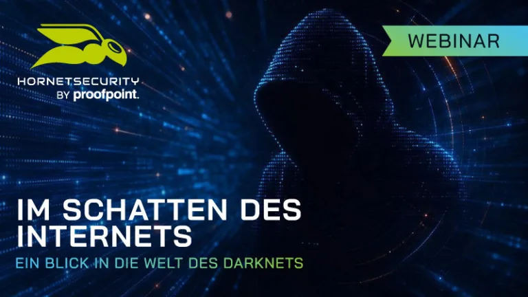 Im Schatten des Internets