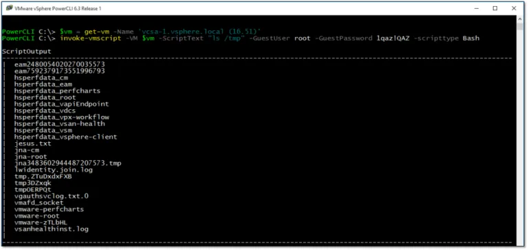 Figure 3 – Remotely listing the contents of the tmp folder on a vm running Linux
