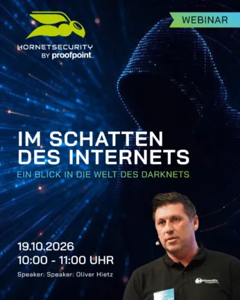 Im Schatten des Internets LinkedIn