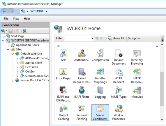 Internet Information Services (IIS) Manager displaying the Server Certificates feature.