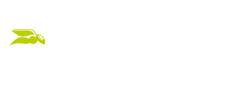 Hornetsecurity – Cloud Security Services for Businesses