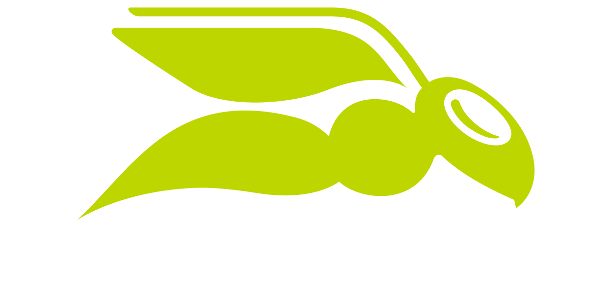 Hornetsecurity Logo green