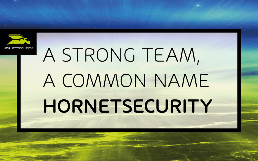 The move is a success: Spamina is now called Hornetsecurity