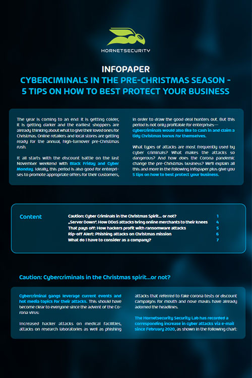 Infopaper Cybercriminals in the pre-christmas season - 5 tips on how to best protect your business