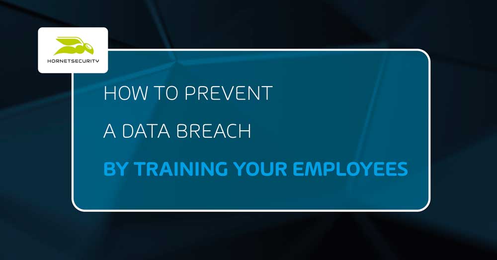 How to Prevent a Data Breach by Training Your Employees