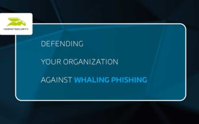 Defending Your Organization Against Whaling Phishing