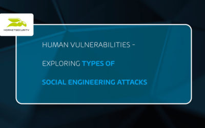 Human Vulnerabilities – Exploring Types of Social Engineering Attacks