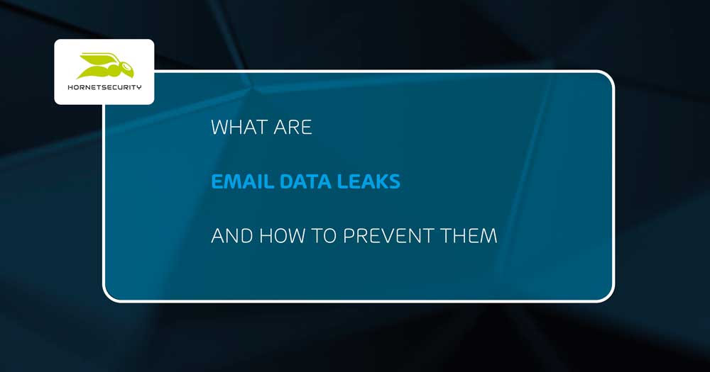 What Are Email Data Leaks and How to Prevent Them